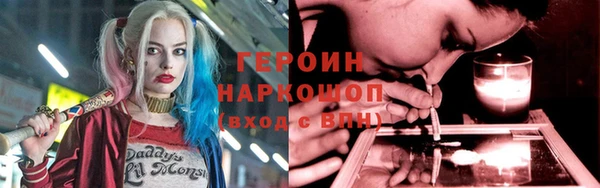 индика Дмитровск