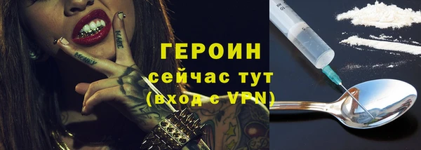гашик Дмитров