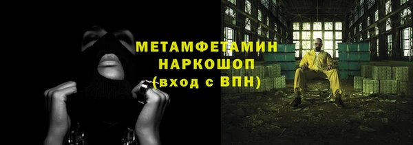 индика Дмитровск