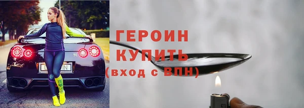 индика Дмитровск