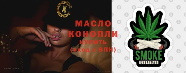 индика Дмитровск