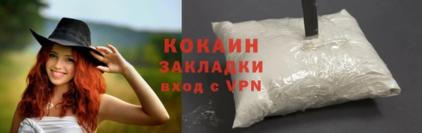 индика Дмитровск