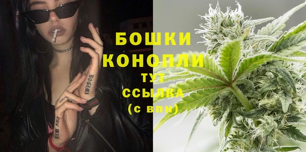 гашик Дмитров
