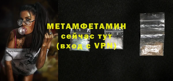 индика Дмитровск
