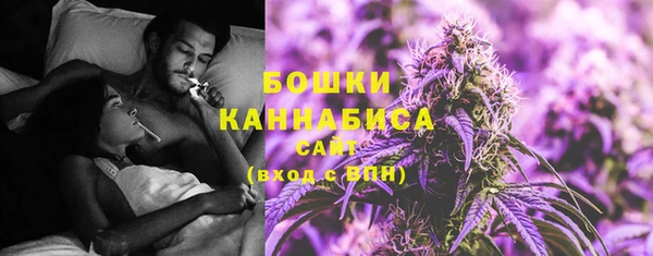гашик Дмитров
